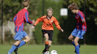 Talent identification and development programmes in sport
